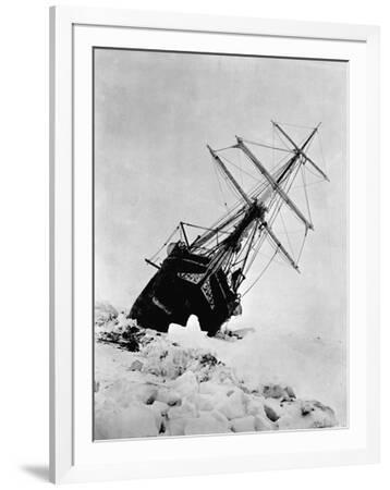 絵画 Endurance ernest-shackleton-s-expedition