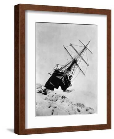 絵画 Endurance ernest-shackleton-s-expedition