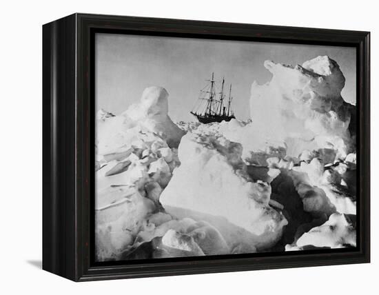 Ernest Shackleton's Ship Endurance Trapped in Ice-Bettmann-Framed Premier Image Canvas