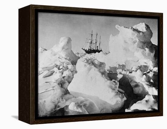 Ernest Shackleton's Ship Endurance Trapped in Ice-Bettmann-Framed Premier Image Canvas