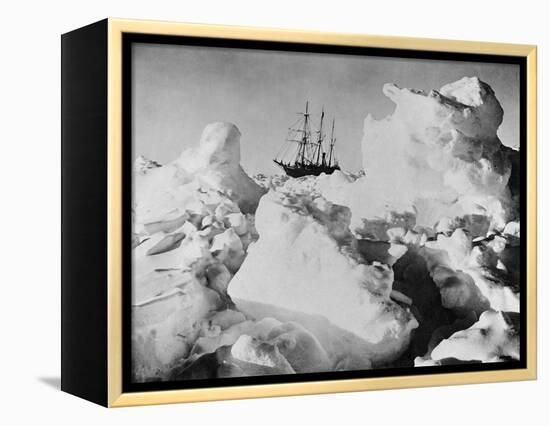 Ernest Shackleton's Ship Endurance Trapped in Ice-Bettmann-Framed Premier Image Canvas