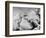 Ernest Shackleton's Ship Endurance Trapped in Ice-Bettmann-Framed Photographic Print