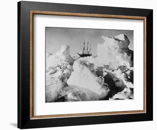 Ernest Shackleton's Ship Endurance Trapped in Ice-Bettmann-Framed Photographic Print