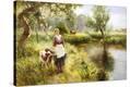 Stretched Canvas Print