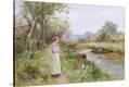 Stretched Canvas Print