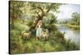 Stretched Canvas Print