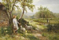 Spring Lambs-Ernest Walbourn-Giclee Print