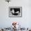 Ernesto 'Che' Guevara Exhaling Plume of Cigar, NYC, 1964-null-Framed Photo displayed on a wall