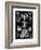 ERNST HAECKEL ART - 19Th Century - Ascomycetes-The Nature Notes-Framed Photographic Print