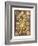 ERNST HAECKEL ART - 19Th Century - Discomedusae-The Nature Notes-Framed Photographic Print