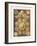 ERNST HAECKEL ART - 19Th Century - Discomedusae-The Nature Notes-Framed Photographic Print