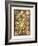 ERNST HAECKEL ART - 19Th Century - Discomedusae-The Nature Notes-Framed Photographic Print