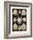 ERNST HAECKEL ART - 19Th Century - Echinidea-The Nature Notes-Framed Photographic Print