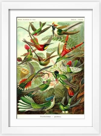 olivenbaum als zimmerpflanze Flora Olivenbaum 73 cm. – Lene Bjerre Design DE