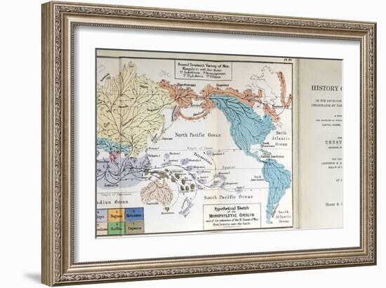 Ernst Haeckel Map Lemuria Human Origins-Paul Stewart-Framed Photographic Print