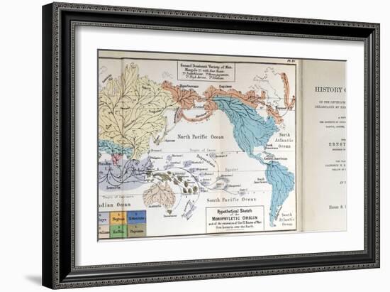 Ernst Haeckel Map Lemuria Human Origins-Paul Stewart-Framed Photographic Print