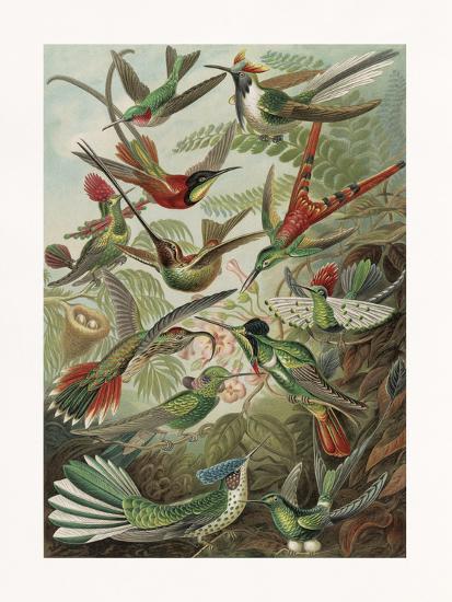 Art Print, , large