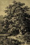 Sepia Oak Tree-Ernst Heyn-Art Print