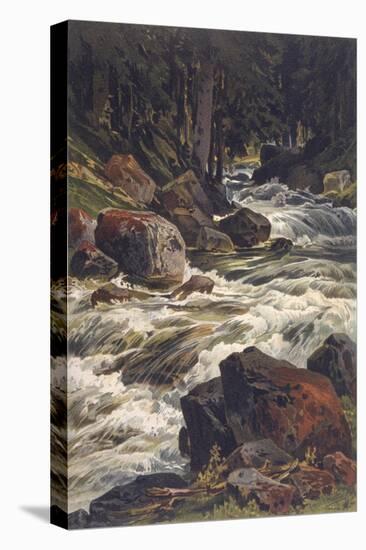 Stretched Canvas Print, , large