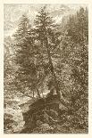 Sepia Oak Tree-Ernst Heyn-Art Print
