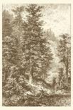 Sepia Noble Fir-Ernst Heyn-Art Print