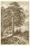 Sepia Oak Tree-Ernst Heyn-Art Print