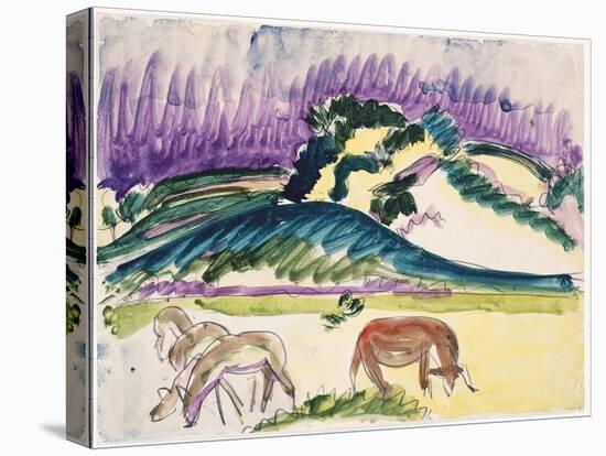 Stretched Canvas Print, , large