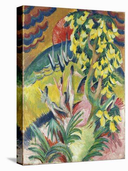 Stretched Canvas Print, , large