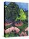 Stretched Canvas Print