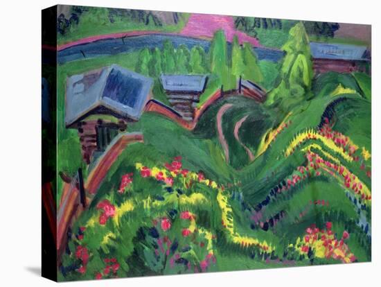 Stretched Canvas Print, , large