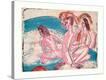 Stretched Canvas Print