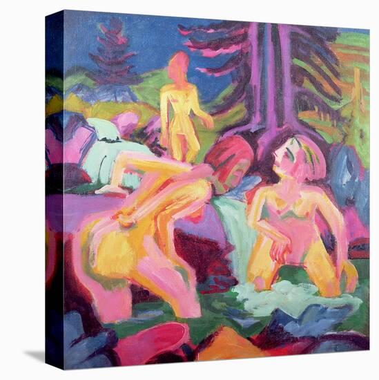 Stretched Canvas Print, , large