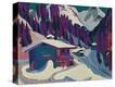 Stretched Canvas Print
