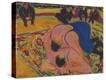 Stretched Canvas Print