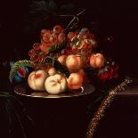 Still Life with Grapes, Peaches, Chestnuts, a Butterfly and a Snail-Ernst Stuven-Mounted Giclee Print