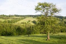 View of the Hoherodskopf, Vogelsberg, Hessen, Germany-Ernst Wrba-Photographic Print