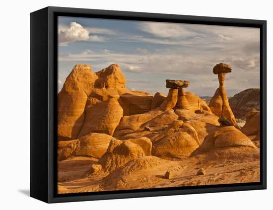 Eroded Rock, Grand Staircase Escalante National Monument, Utah, USA-Cathy & Gordon Illg-Framed Premier Image Canvas