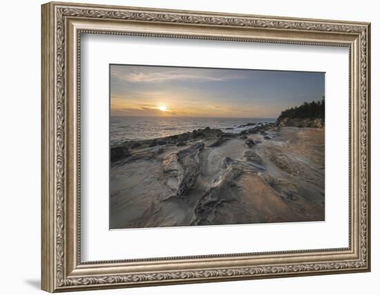 Eroded sandstone concretions and formations at Shore Acres State Park, Oregon.-Alan Majchrowicz-Framed Photographic Print