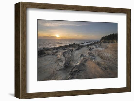 Eroded sandstone concretions and formations at Shore Acres State Park, Oregon.-Alan Majchrowicz-Framed Photographic Print