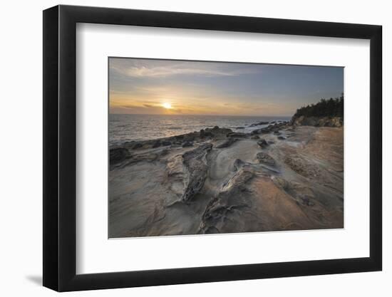 Eroded sandstone concretions and formations at Shore Acres State Park, Oregon.-Alan Majchrowicz-Framed Photographic Print