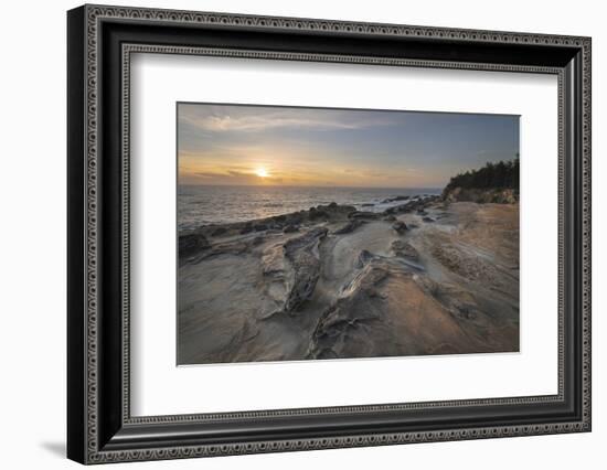 Eroded sandstone concretions and formations at Shore Acres State Park, Oregon.-Alan Majchrowicz-Framed Photographic Print