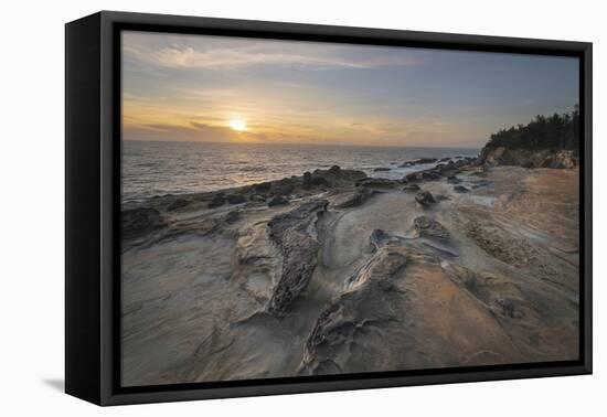 Eroded sandstone concretions and formations at Shore Acres State Park, Oregon.-Alan Majchrowicz-Framed Premier Image Canvas