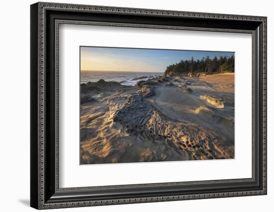 Eroded sandstone concretions and formations at Shore Acres State Park, Oregon.-Alan Majchrowicz-Framed Photographic Print