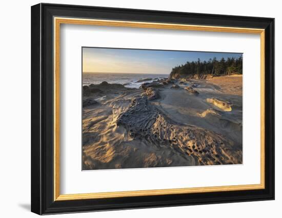 Eroded sandstone concretions and formations at Shore Acres State Park, Oregon.-Alan Majchrowicz-Framed Photographic Print