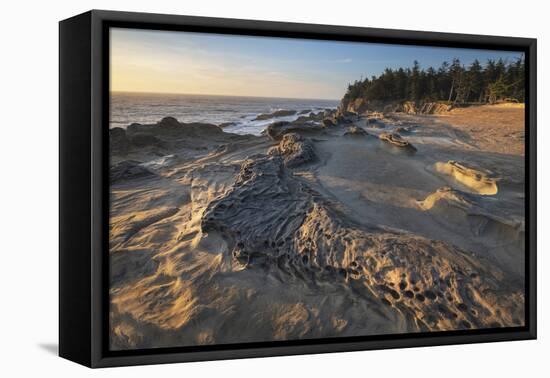 Eroded sandstone concretions and formations at Shore Acres State Park, Oregon.-Alan Majchrowicz-Framed Premier Image Canvas