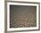 Eroding Ground of Desert-Tim Tadder-Framed Photographic Print