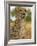 Erongo Region, Damarland, A Cheetah, Namibia-Mark Hannaford-Framed Photographic Print