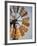 Erongo Region, Okahandja, the Fins of a Windmill Highlighted by the Setting Sun, Namibia-Mark Hannaford-Framed Photographic Print