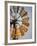 Erongo Region, Okahandja, the Fins of a Windmill Highlighted by the Setting Sun, Namibia-Mark Hannaford-Framed Photographic Print