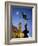 Eros statue, Piccadilly Circus, London, England-Rex Butcher-Framed Photographic Print